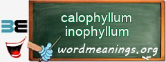 WordMeaning blackboard for calophyllum inophyllum